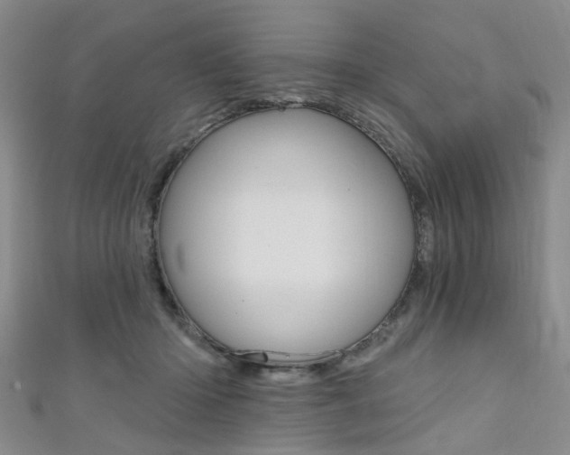 X0000111360414200907101001