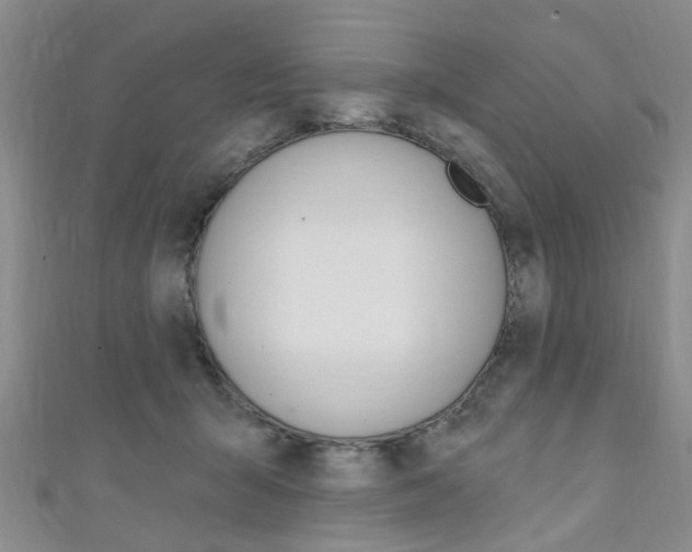 X0000111360415200907101001