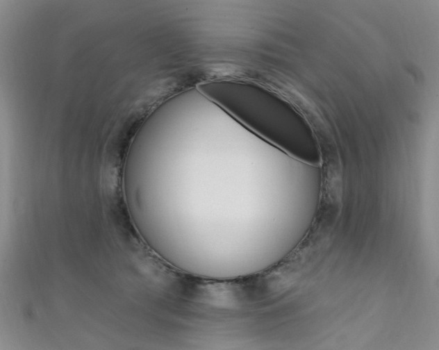 X0000111360417200907101000
