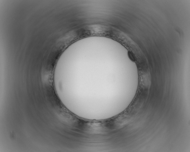 X0000111360419200907101000