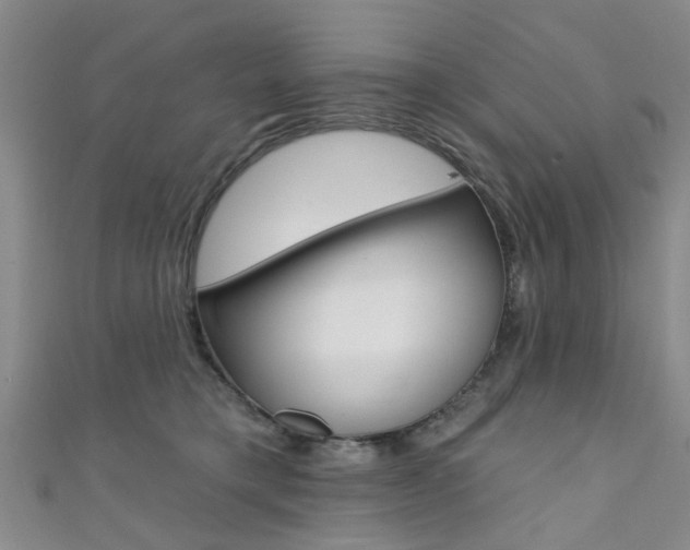 X0000111360421200907101000