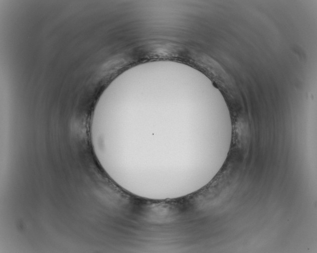 X0000111360423200907101000