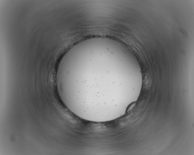 X0000111360424200907101000