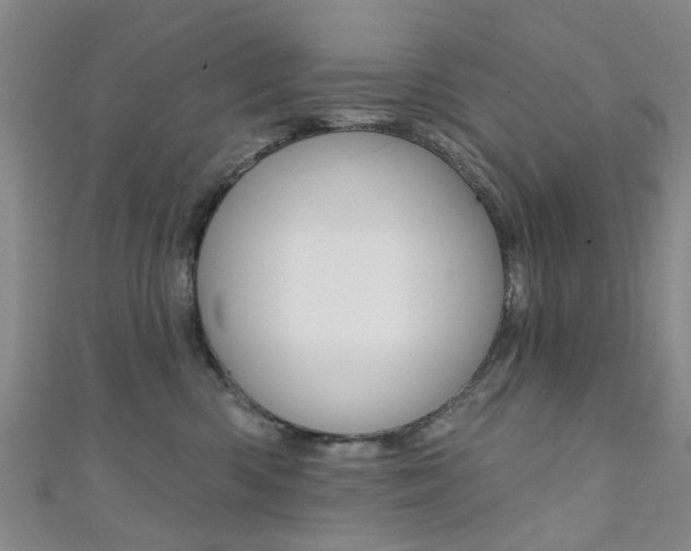 X0000111360426200907101000
