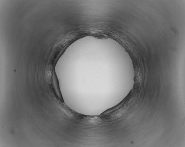 X0000111360427200907101000