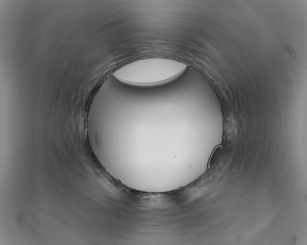 X0000111360428200907101000
