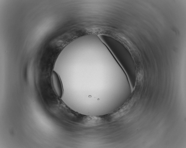 X0000111360429200907101000