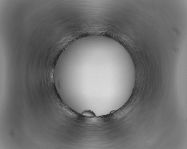 X0000111360432200907101000