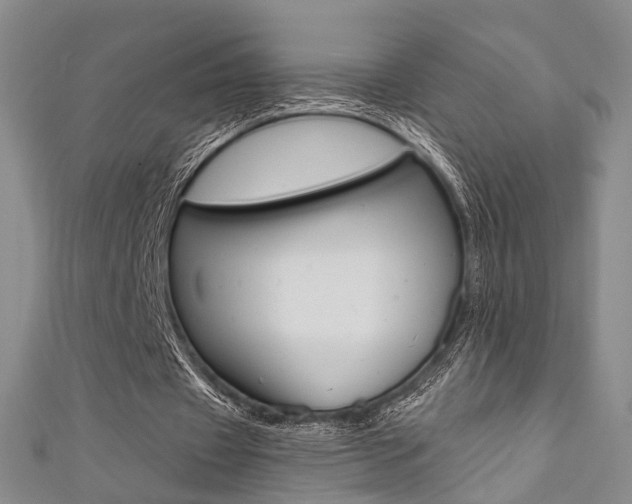 X0000111360433200907100959