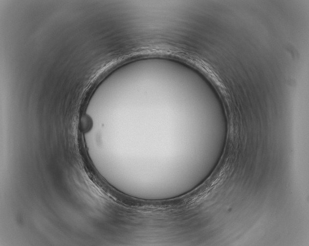 X0000111360434200907100959