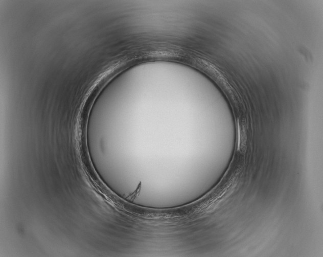 X0000111360435200907100959