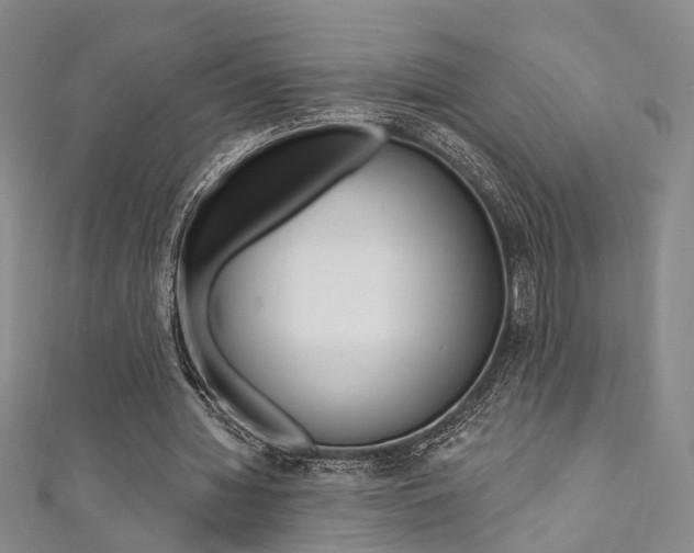 X0000111360436200907100959