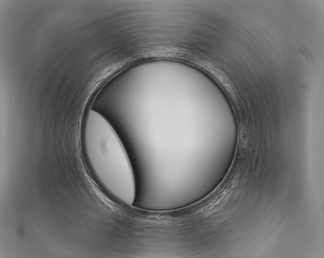 X0000111360437200907100959