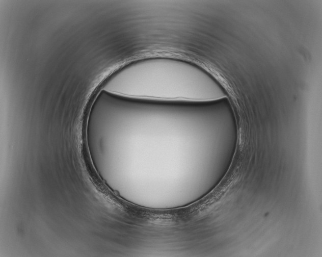 X0000111360438200907101000