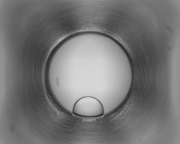 X0000111360440200907101000