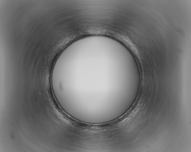 X0000111360441200907101000