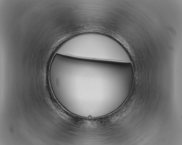 X0000111360442200907101000