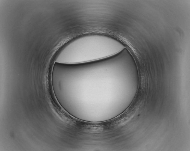 X0000111360443200907101000