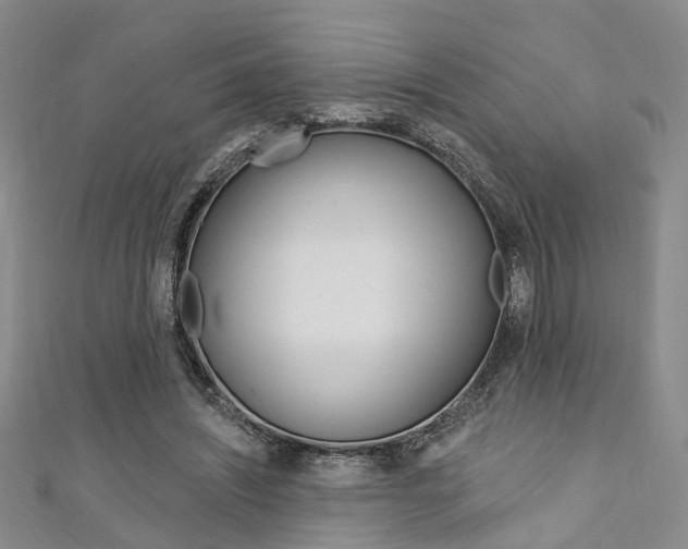 X0000111360444200907101000