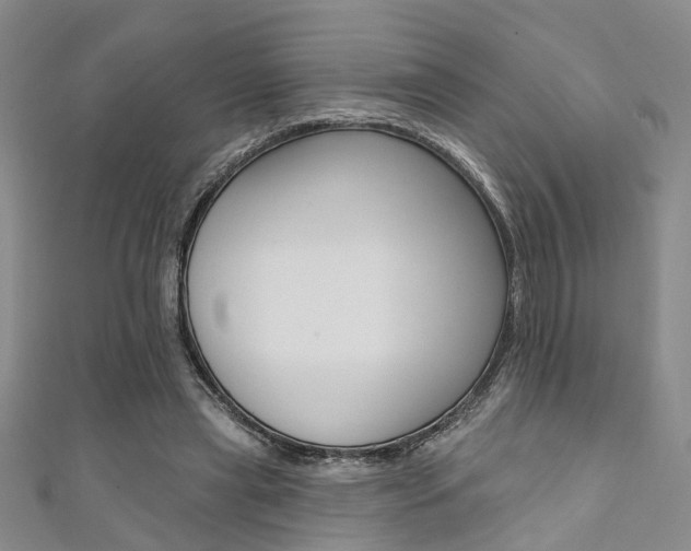 X0000111360445200907101000