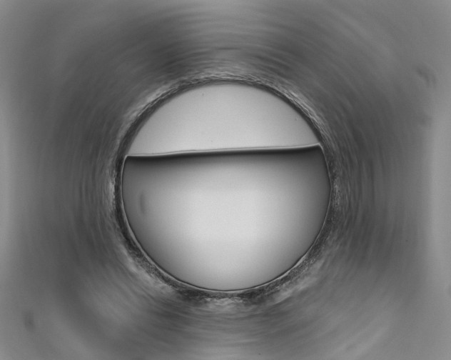X0000111360446200907101000