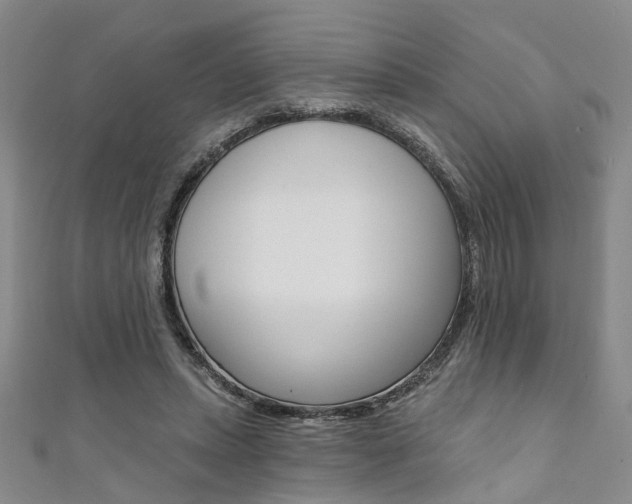 X0000111360447200907101000