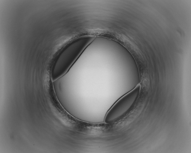X0000111360448200907101000