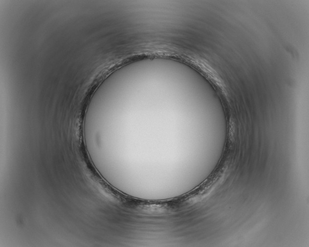 X0000111360449200907101000