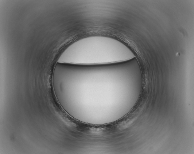 X0000111360450200907101000