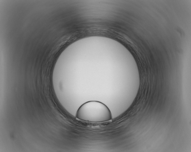 X0000111360452200907101000