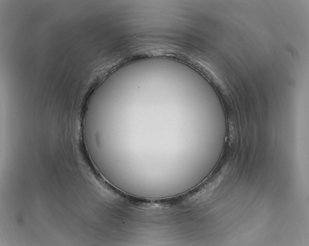 X0000111360453200907101000