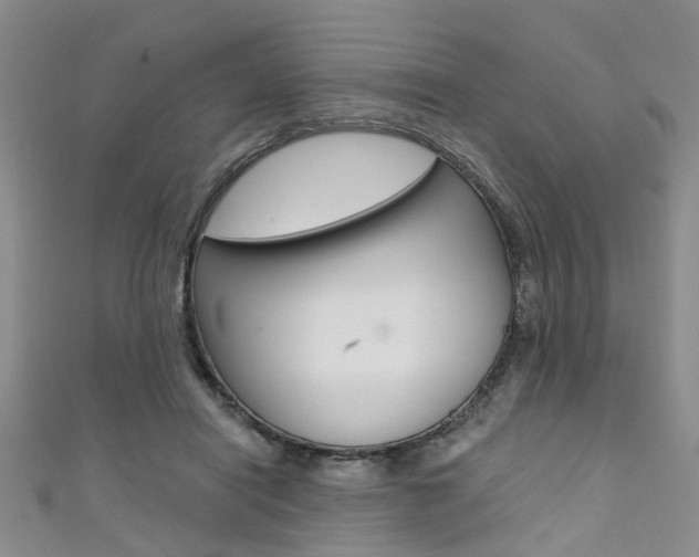X0000111360454200907101000
