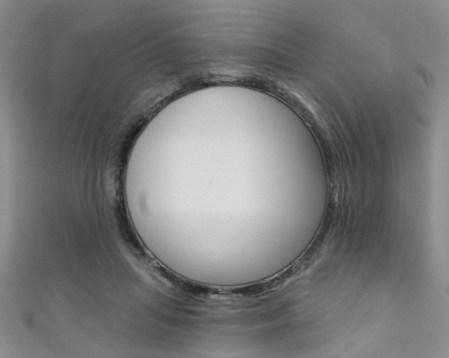 X0000111360455200907101000