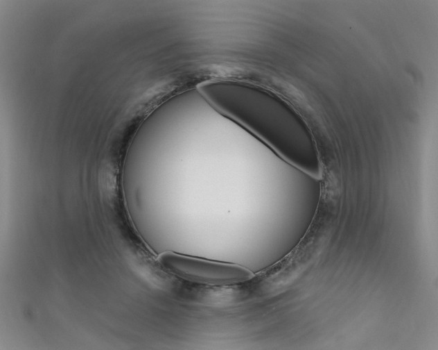 X0000111360456200907101000