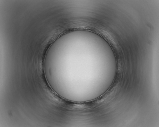 X0000111360457200907101000