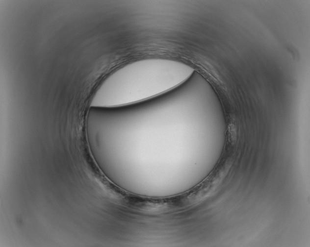 X0000111360458200907101000
