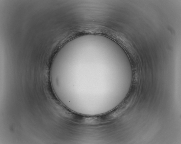 X0000111360461200907101000