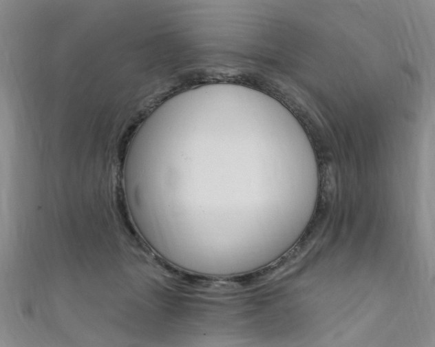 X0000111360463200907101000