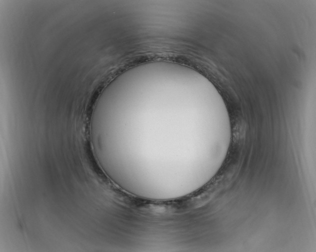 X0000111360464200907101000