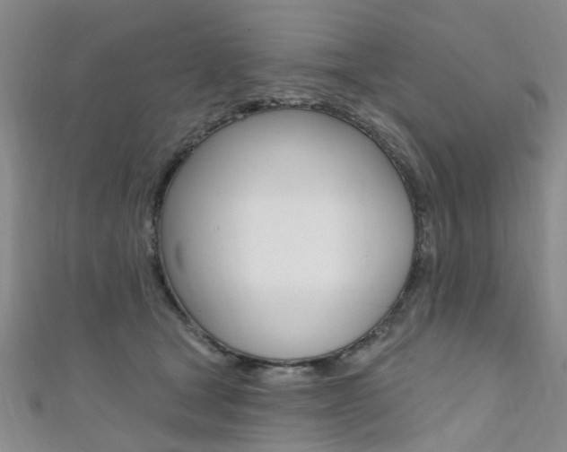 X0000111360465200907101000