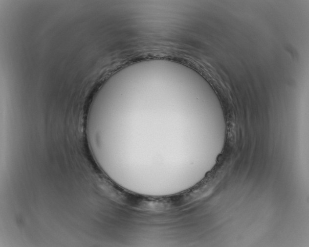 X0000111360466200907101000