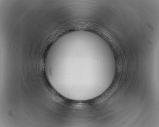 X0000111360467200907101000