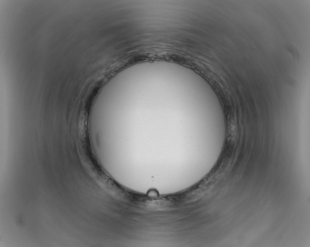 X0000111360468200907101000