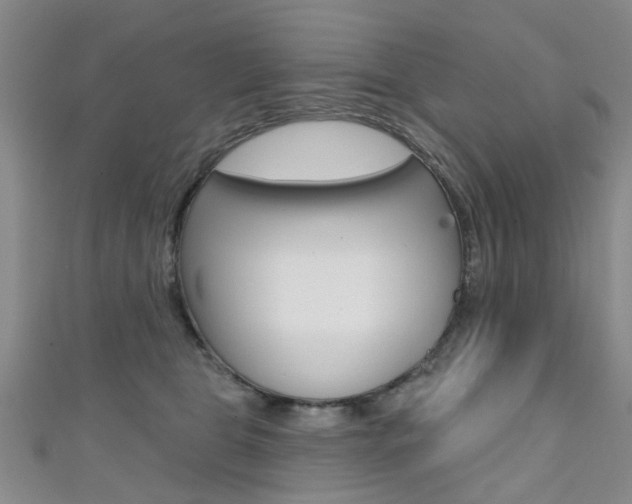 X0000111360469200907101000