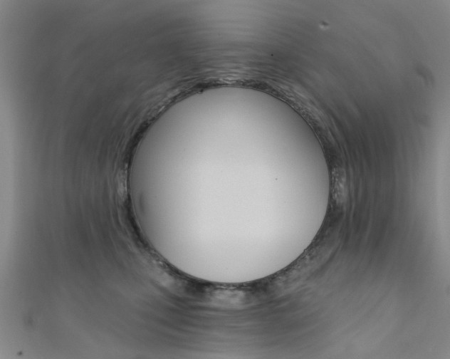 X0000111360471200907101000
