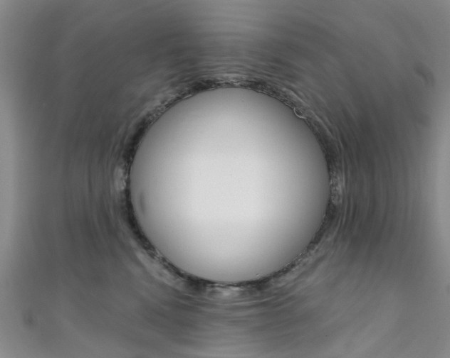 X0000111360472200907101000