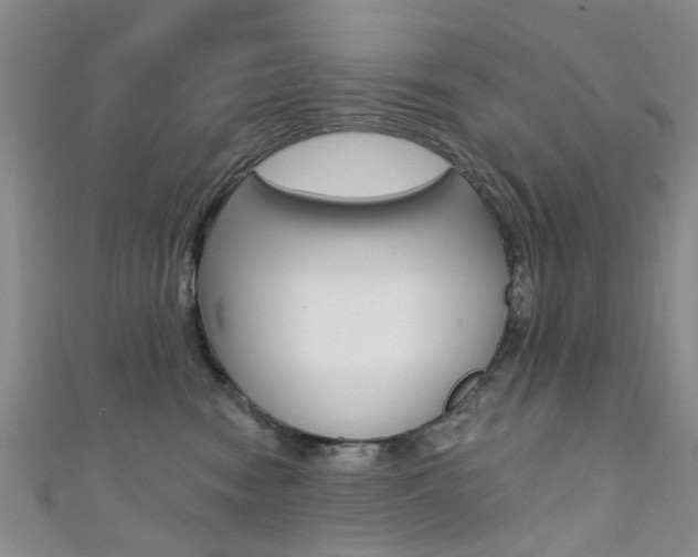 X0000111360474200907101000