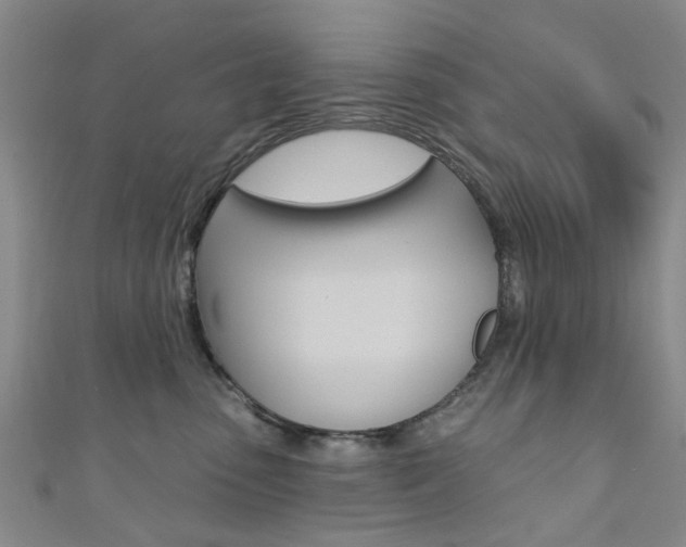 X0000111360475200907101000
