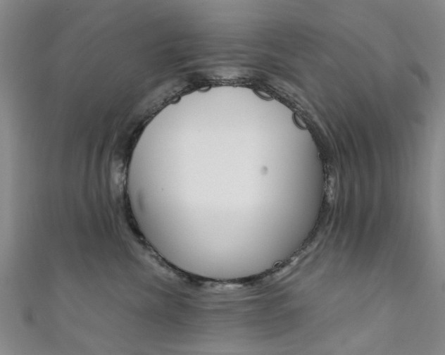 X0000111360476200907101000