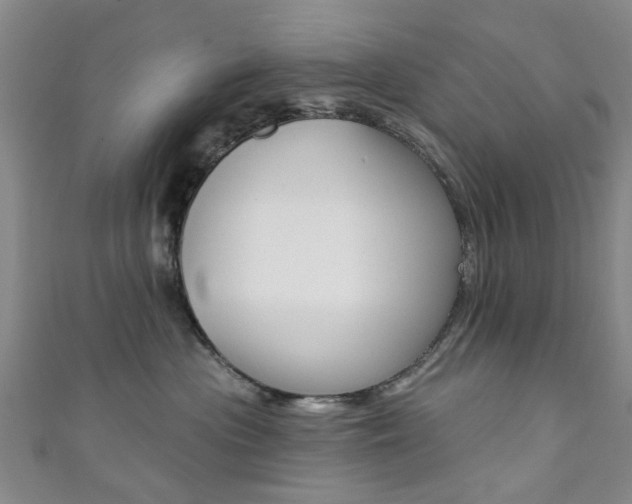 X0000111360477200907101000